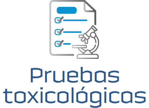 Asesoria en materia laboral